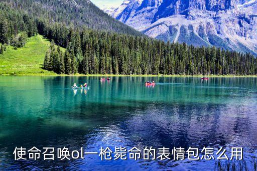 使命召唤ol一枪毙命的表情包怎么用