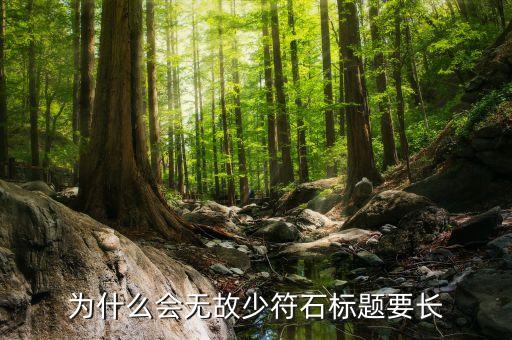 为什么会无故少符石标题要长