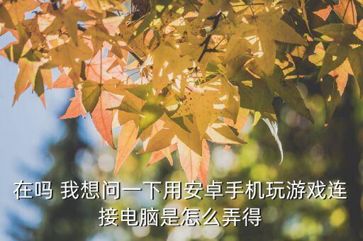 在吗 我想问一下用安卓手机玩游戏连接电脑是怎么弄得