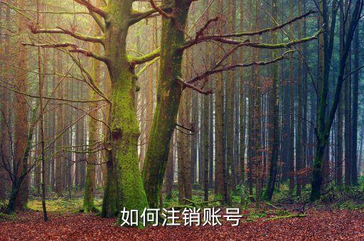 如何注销账号