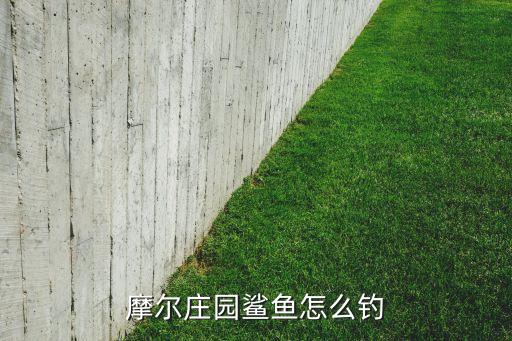 摩尔庄园鲨鱼怎么钓