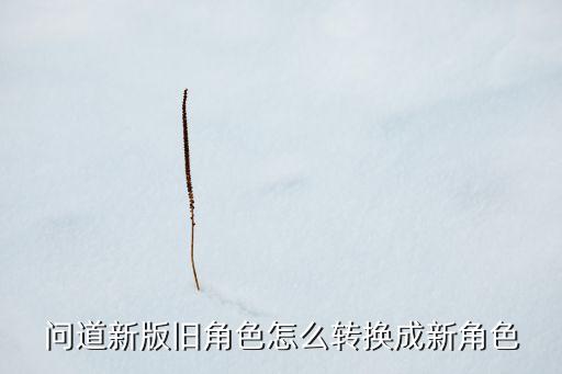 问道新版旧角色怎么转换成新角色
