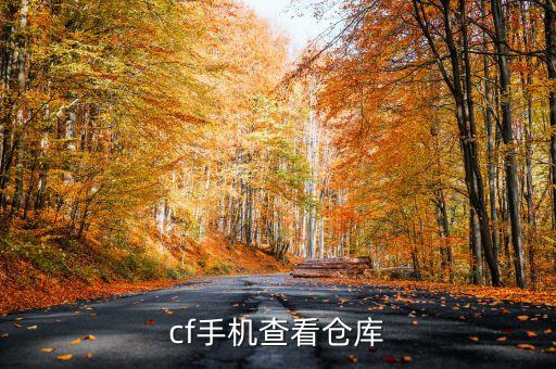 cf手游怎么看不用系统的仓库，cf不进游戏怎么看仓库