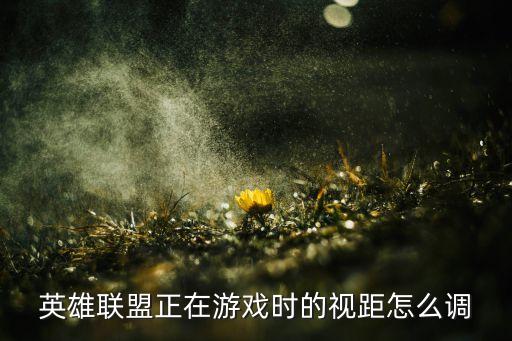 英雄联盟正在游戏时的视距怎么调