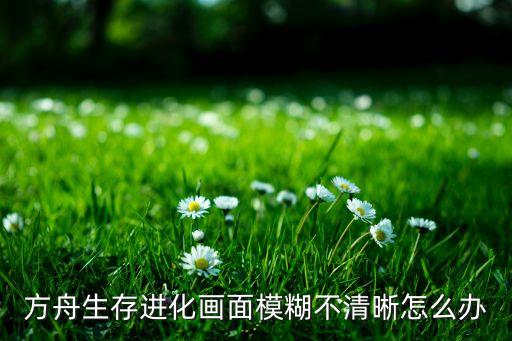 方舟生存进化画面模糊不清晰怎么办