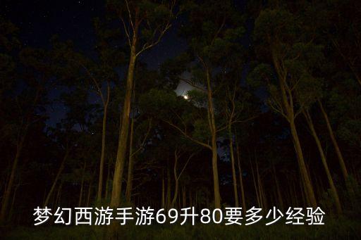 梦幻西游手游69升80要多少经验