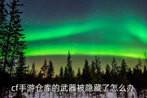 cf手游仓库的武器被隐藏了怎么办