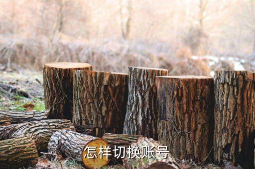 怎样切换账号