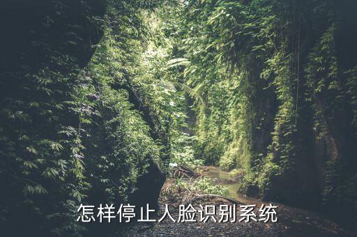 英雄联盟手游怎么不人脸识别，如何关闭人脸辨识