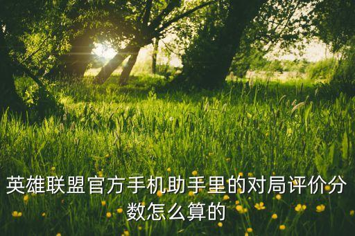 英雄联盟官方手机助手里的对局评价分数怎么算的