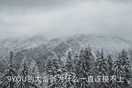 9YOU的大富翁为什么一直连接不上