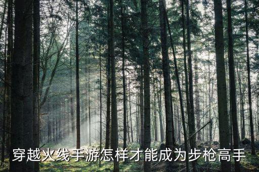 穿越火线手游怎样才能成为步枪高手
