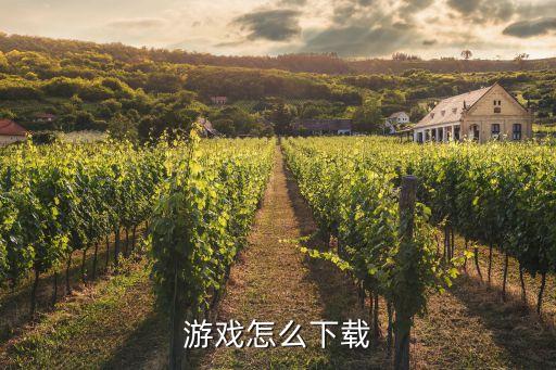 游戏怎么下载