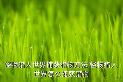 怪物猎人世界捕获猎物方法 怪物猎人世界怎么捕获猎物