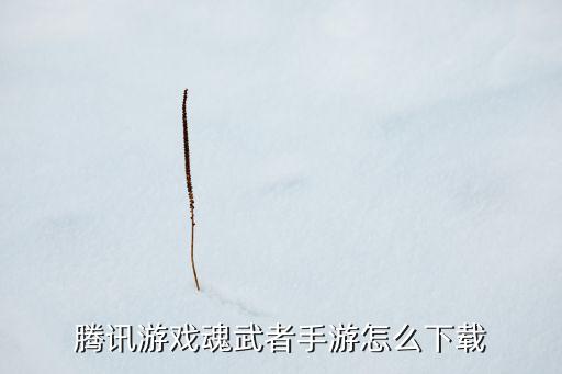 腾讯游戏魂武者手游怎么下载