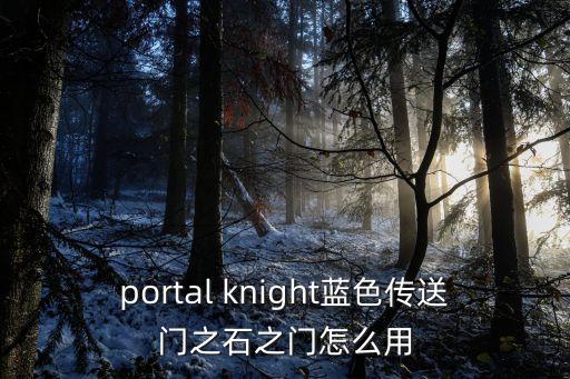 portal knight蓝色传送门之石之门怎么用