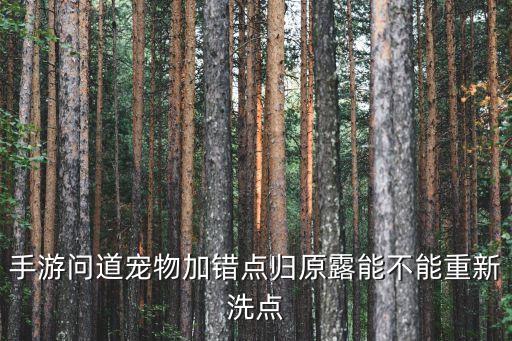 问道手游怎么二次洗点儿，手游问道宠物加错点归原露能不能重新洗点
