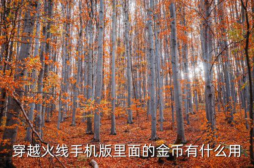 穿越火线手机版里面的金币有什么用