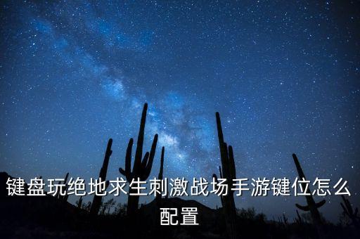 键盘玩绝地求生刺激战场手游键位怎么配置