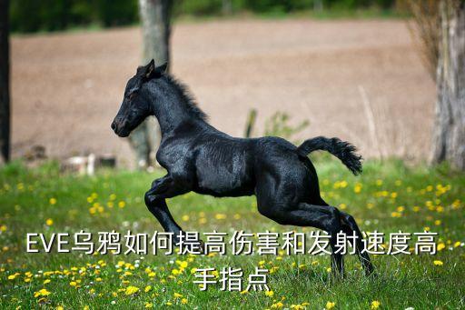 EVE乌鸦如何提高伤害和发射速度高手指点