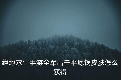 绝地求生手游全军出击平底锅皮肤怎么获得