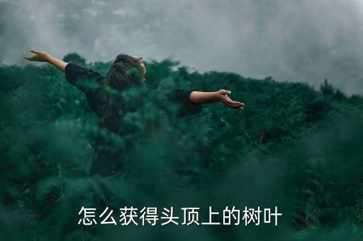 怎么获得头顶上的树叶