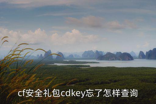 cf安全礼包cdkey忘了怎样查询