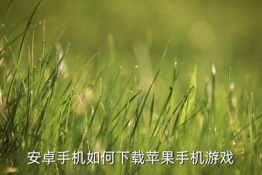 安卓手机如何下载苹果手机游戏