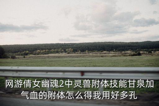 网游倩女幽魂2中灵兽附体技能甘泉加气血的附体怎么得我用好多孔