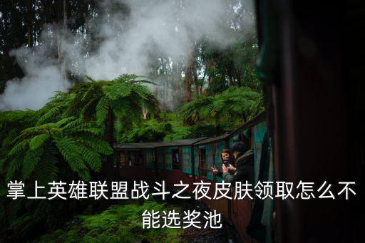掌上英雄联盟战斗之夜皮肤领取怎么不能选奖池