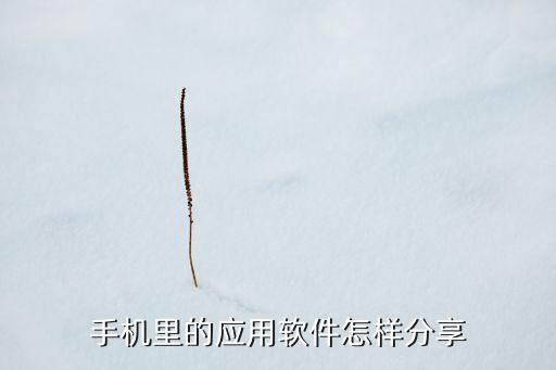 手机里的应用软件怎样分享