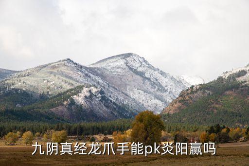 九阴真经龙爪手能pk炎阳赢吗