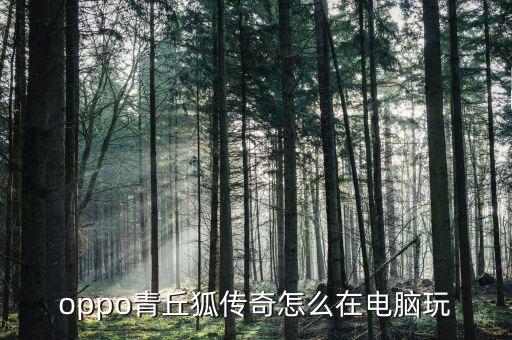 oppo青丘狐传奇怎么在电脑玩