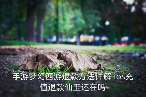 手游梦幻西游退款方法详解 ios充值退款仙玉还在吗