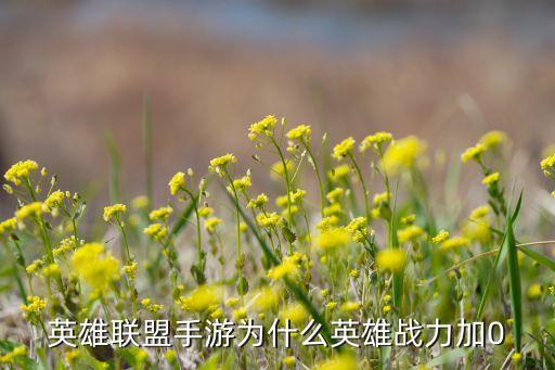 英雄联盟手游为什么英雄战力加0