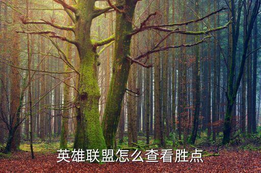 lol手游胜点衰减怎么看，lol在哪里看掉的胜点