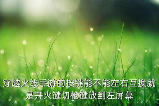 穿越火线手游的按键能不能左右互换就是开火键切枪键放到左屏幕