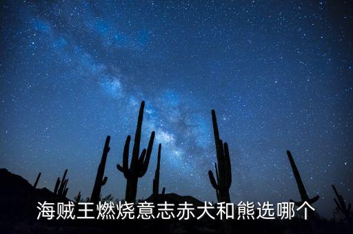 海贼王燃烧意志赤犬和熊选哪个