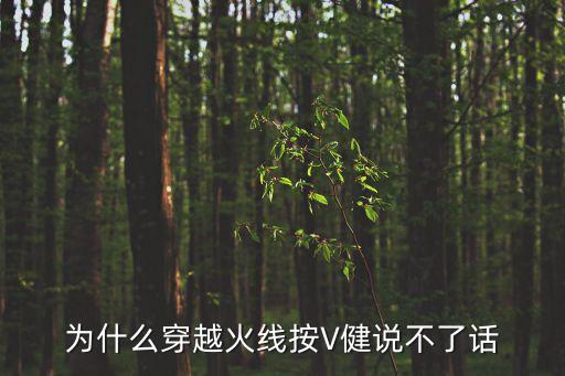 为什么穿越火线按V健说不了话
