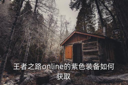 王者之路online的紫色装备如何获取