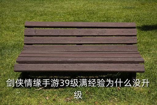 剑侠情缘手游39级满经验为什么没升级