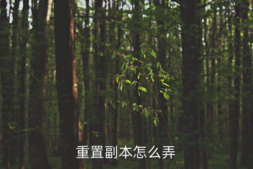 天龙八部手游重置怎么弄，重置副本怎么弄