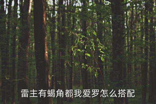 诺亚传说手游奶奶众神殿怎么搭配，怎样结交喜欢的老太太