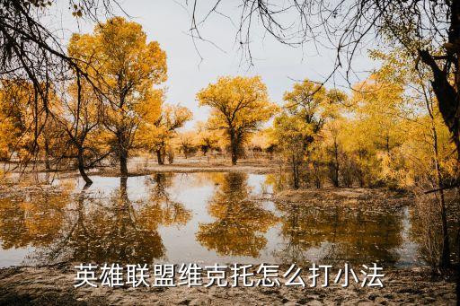 英雄联盟维克托怎么打小法