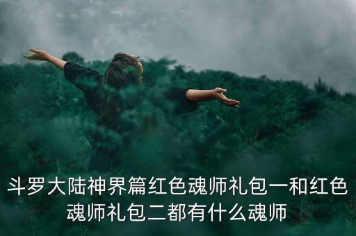 斗罗大陆神界篇红色魂师礼包一和红色魂师礼包二都有什么魂师