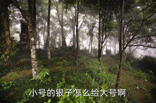 小号的银子怎么给大号啊