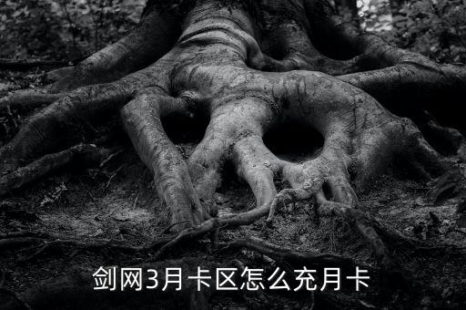 剑网3月卡区怎么充月卡