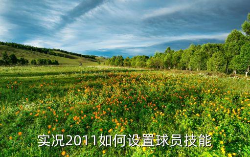 实况2011如何设置球员技能
