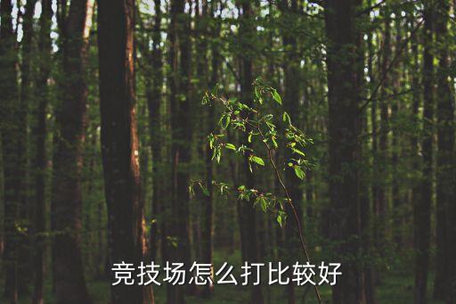 竞技场手游怎么玩才厉害，天龙八部竞技场怎么玩的