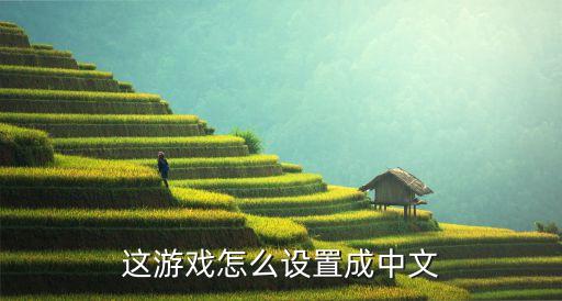 这游戏怎么设置成中文